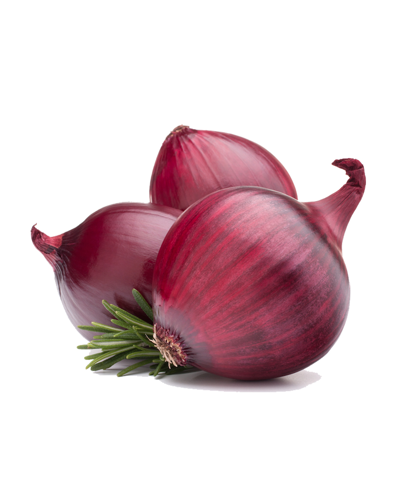 Onion